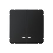 ArtGallery Карбон Выключатель 2-клавишный с подсветкой, сх.5а, 10АХ, механизм GAL001053