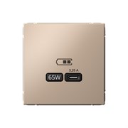 ArtGallery Песочный USB Розетка тип-С 65Вт высокоскоростная зарядка QC, PD, механизм GAL001227