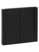 FORTE&PIANO Выключ. 2-кл. прох. с инд. 10А FP108 чер. IEK FP-V22-1-10-1-K02