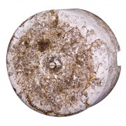 BIRONI Лизетта Керамика Мрамор Распред.коробка 90*60 мм B1-523-09