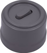 Bironi Лизетта пластик титан выключатель проходной 1-клавишный (клавишный) B1-221-26