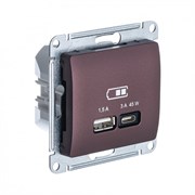 Glossa баклажановый USB розетка A + тип-C 45W высокоскоростная зарядка QC,PD, механизм GSL001129