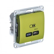 Glossa фисташковый USB розетка тип-C 65W высокоскоростная зарядка QC, PD, механизм GSL001027