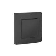 Systeme Electric Blanca внутр Антрацит Переключатель 1-клавишный IP44, 10A, 250В BLNVS410606