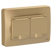 Blanca внутренняя титан розетка 2-ая с заземлением, IP44 со шторками, 16А, 250В BLNRS441124