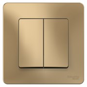 Blanca внутренняя титан переключатель 2-клавишный, 10А, 250B BLNVS106604
