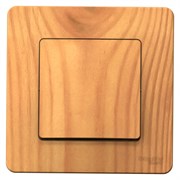 Blanca внутренняя ясень выключатель 1-клавишный, 10А, 250B BLNVS010105