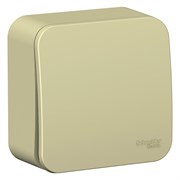 Blanca наружняя бежевый выключатель 1-клавишный (cх.1) изолированная пластина 10А, 250B BLNVA101017