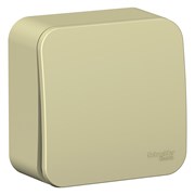 Blanca наружняя бежевый переключатель 1-клавишный (cх.6) изолированная пластина 10А, 250B BLNVA106017