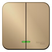 Blanca наружняя титан выключатель 2-клавишный с подсветкой 10А,250B, изолированная пластина BLNVA105114