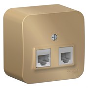 Blanca наружняя титан розетка 2-ая ТЛФ/КОМП, RJ45+RJ11, кат.5E, изолированная пластина BLNIA045114