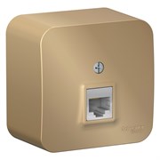 Blanca наружняя титан розетка компьютерная RJ45, кат.5E, изолированная пластина BLNIA045004