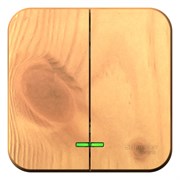 Blanca наружняя ясень выключатель 2-клавишный , 10А, 250B BLNVA105005