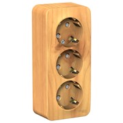 Blanca наружняя ясень розетка 3-ая с заземлением, со шторками 16А, 250В, изолированная пластина BLNRA011315