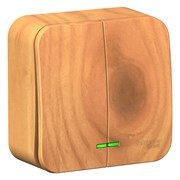 Blanca наружняя ясень выключатель 2-клавишный с подсветкой, 10А, 250B BLNVA105105