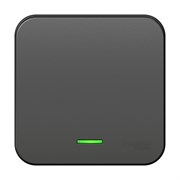 Blanca наружняя антрацит выключатель 1-клавишный с подсветкой , 10А, 250B, изолированная пластина BLNVA101116