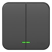 Blanca наружняя антрацит выключатель 2-клавишный с подсветкой 10А,250B, изолированная пластина BLNVA105116