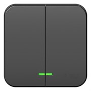 Blanca наружняя антрацит выключатель 2-клавишный с подсветкой, 10А, 250B BLNVA105106