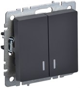 IEK Brite Base графит выключатель 2- клавишный с индикацией  10А BR-V20-1-10-K53