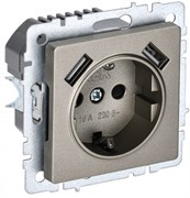 IEK Brite Base шампань розетка с заземлением и шторками, 16А с USB A+A 3,1А BR-R14-16-U21-D31-K37