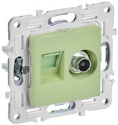 IEK SKANDY Мятный Розетка двойная TV+RJ45 кат.5E SK-A14G SK-AK20-1-K06