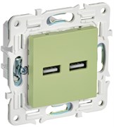 IEK SKANDY Мятный Розетка USB A+A 3,1А SK-R15G SK-U21-D31-K06