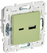 IEK SKANDY Мятный Розетка USB A+C 18Вт SK-R13G SK-U22-018-K06
