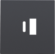 Niko Накладка USB Type-A-C, антрацит 122-68002