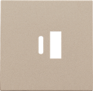 Niko Накладка USB Type-A-C, шампань 157-68002