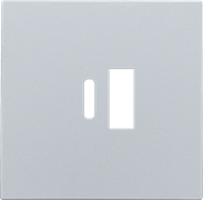 Niko Накладка USB Type-A-C, серебро 121-68002