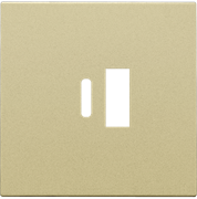 Niko Накладка USB Type-A-C, золото 221-68002