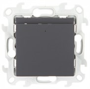 Simon 24 Графит Карточный выключатель 2410526-038