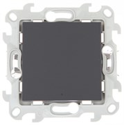 Simon 24 Графит Одноклавишный переключатель с подсветкой Push&Go 2420204-038