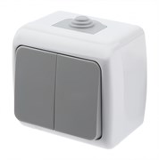 ЭРА Intro Выключатель Atlantic 5-104-03 двойной, 10А-250В, IP54, открытой установки, серый Б0050943