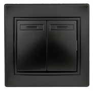 Intro Переключатель Plano 1-107-05 двухклавишный, 10А-250В, IP20, СУ, антрацит Б0053810