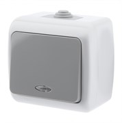 ЭРА Intro Выключатель Atlantic 5-102-03 с подсветкой, 10А-250В, IP54, открытой установки, серый Б0050941