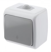 Intro Переключатель Atlantic 5-103-03 10А-250В, IP54, открытой установки, серый Б0050942