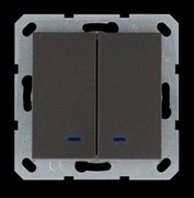 Jasmart Выключатель двухклавишный со светодиодами 10A 250V~ с накладкой, цвет Мокко G3023NZ