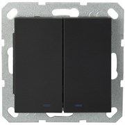 Jasmart G Черный матовый Выключатель 2-кл перекрестный с подсветкой 10A 250V~ G3023NPB