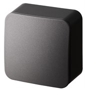 Jasmart FS Антрацит Выключатель 1-кл проходной, накладного монтажа, 10AX 250V~ FS3012B