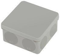 ЭРА Распаячная коробка KOR-100-100-50-9g-2MP двухкомпонентная безгалогенная атмосферостойкая 100х100х50мм прямой монтаж Б0060291