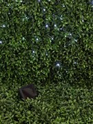 ЭРА Садовая гирлянда ERASF22-29 Бахрома на солнечной батарее холодный свет 3.8*0.5 м Б0053373