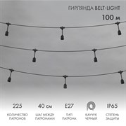 Гирлянда Belt-Light 2 жилы, 100м, шаг 40см, 225 подвесныx патронов Е27, IP65, черный круглый провод NEON-NIGHT 331-231