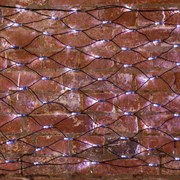 NEON-NIGHT Гирлянда "Сеть" 2х0,7м, черный ПВХ, 176 LED Белые 215-011