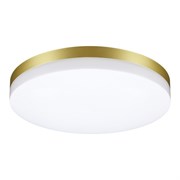 Novotech 358892 STREET NT22 золото Светильник ландшафтный светодиодный IP54 LED 4000К 40W 220V OPAL 358892