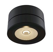 Maytoni Потолочный светильник C023CL-L20B C023CL-L20B