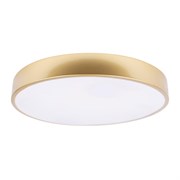 LOFT IT 10228/A Потолочный светильник Flims 10228/A