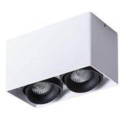 Arte Lamp A5654PL-2WH Светильник потолочный Pictor A5654PL-2WH