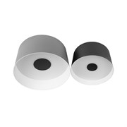 LOFT IT 10360/2 Потолочный светильник Duo, шт 10360/2