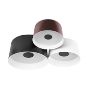 LOFT IT 10360/3 Потолочный светильник Duo, шт 10360/3